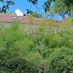 renovation toiture montchauvet 5