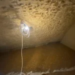 refection cave montfort l amaury 78 7