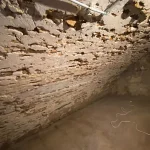 refection cave montfort l amaury 78 8